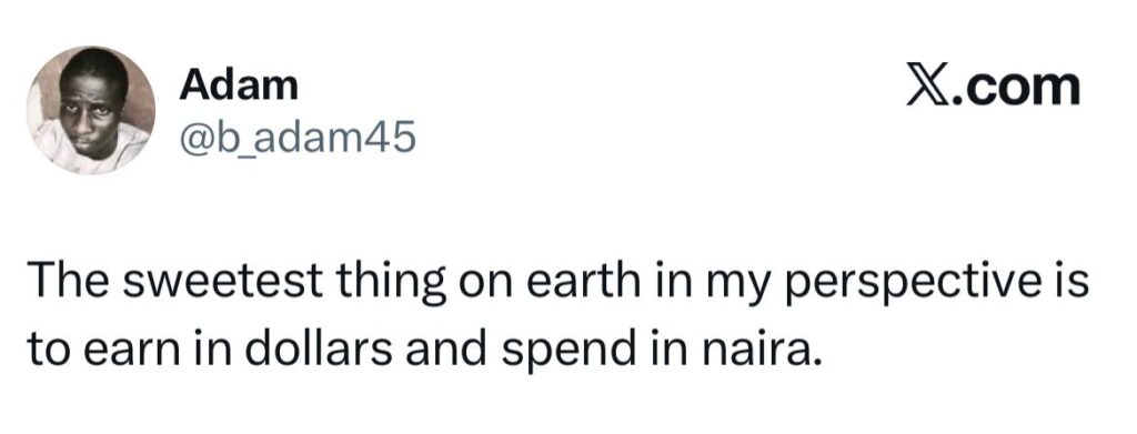 A tweet that's talking about earning in dollars and spending in naira.